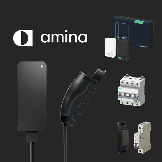 Kampanjpaket Amina 22 kW